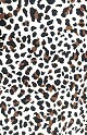 Pattern image